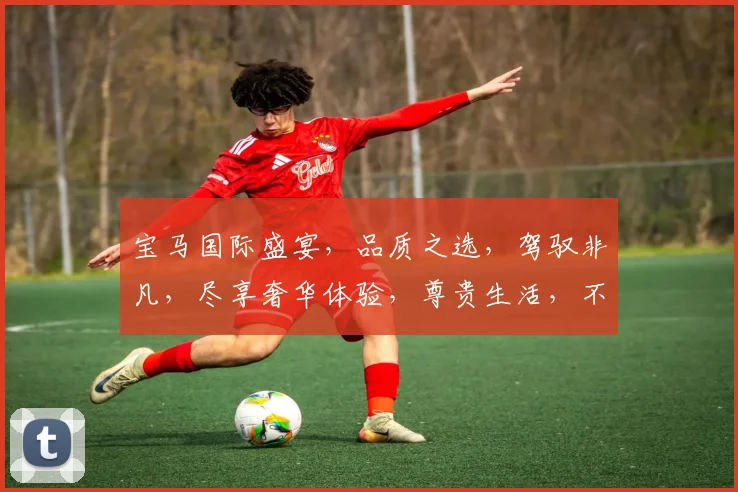 宝马国际盛宴，品质之选，驾驭非凡，尽享奢华体验，尊贵生活，不容错过